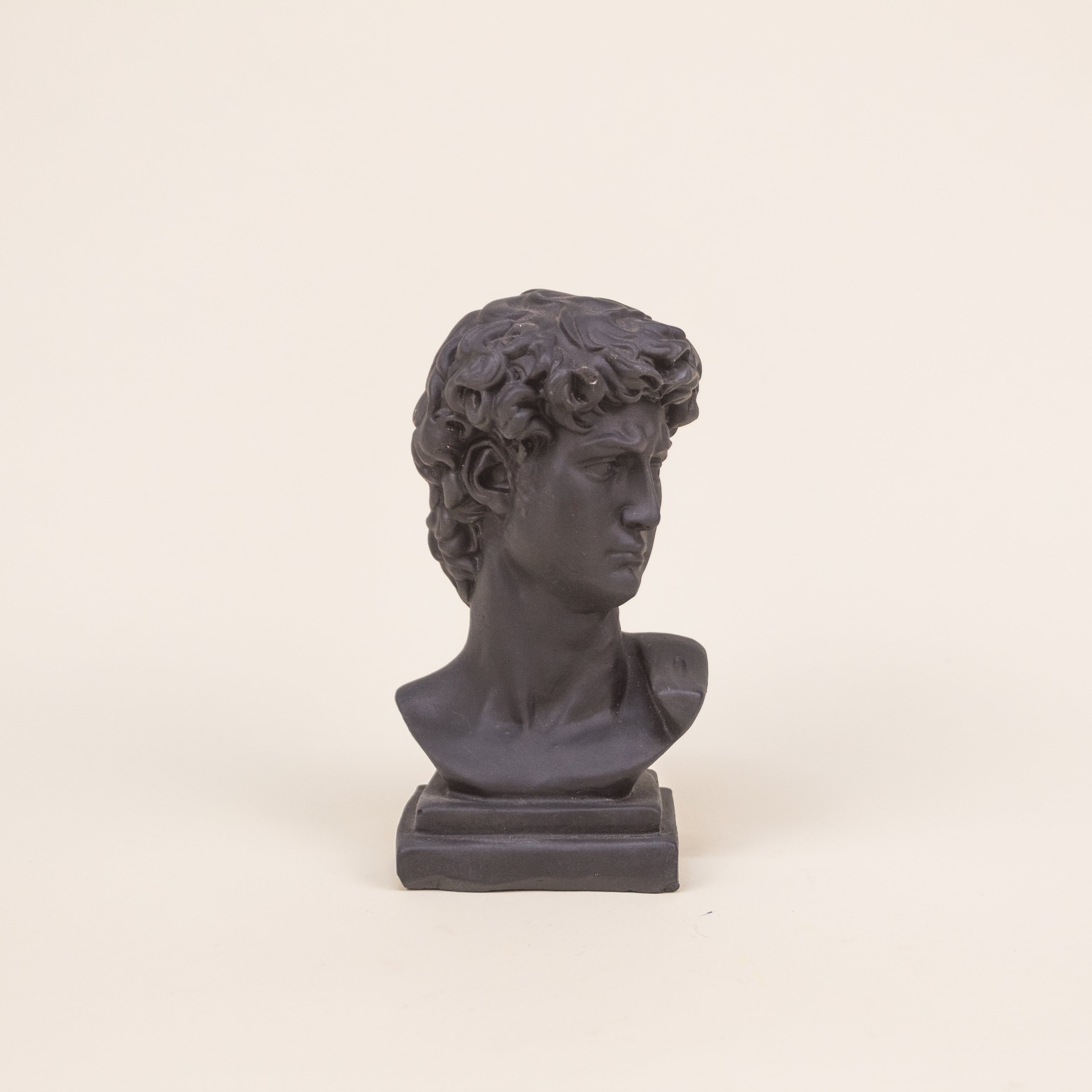 BUSTO DAVID
