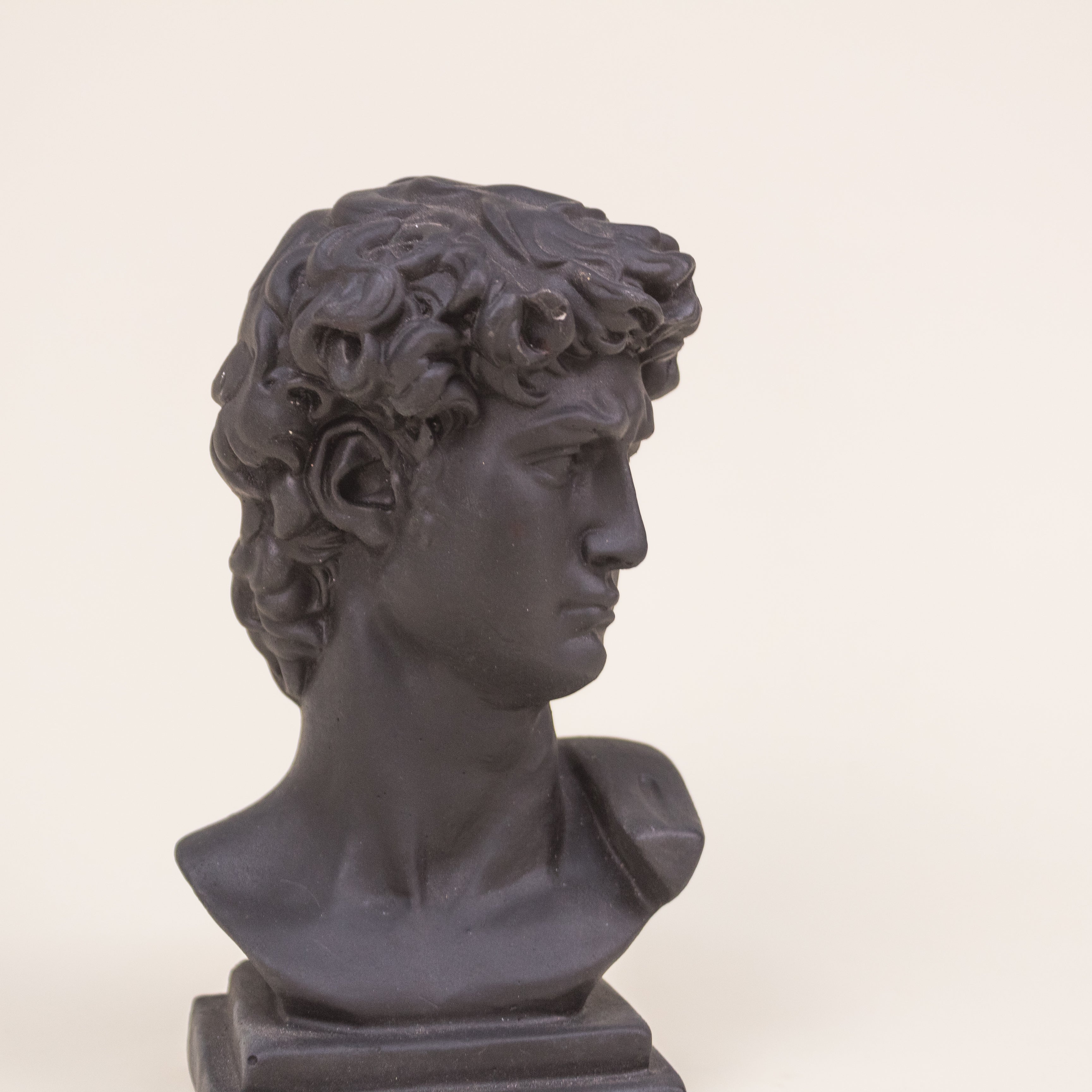 BUSTO DAVID