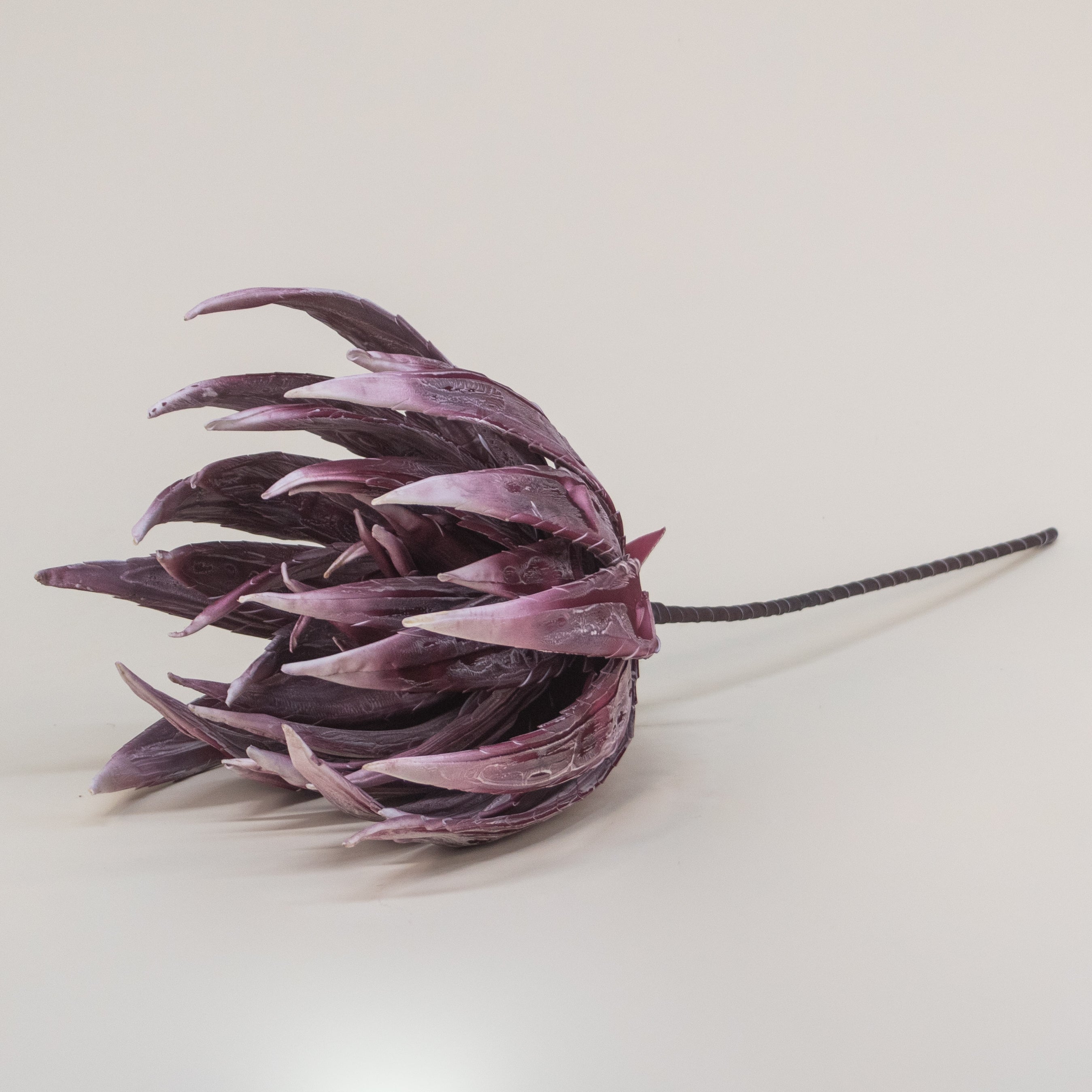 FLOR AGAVE