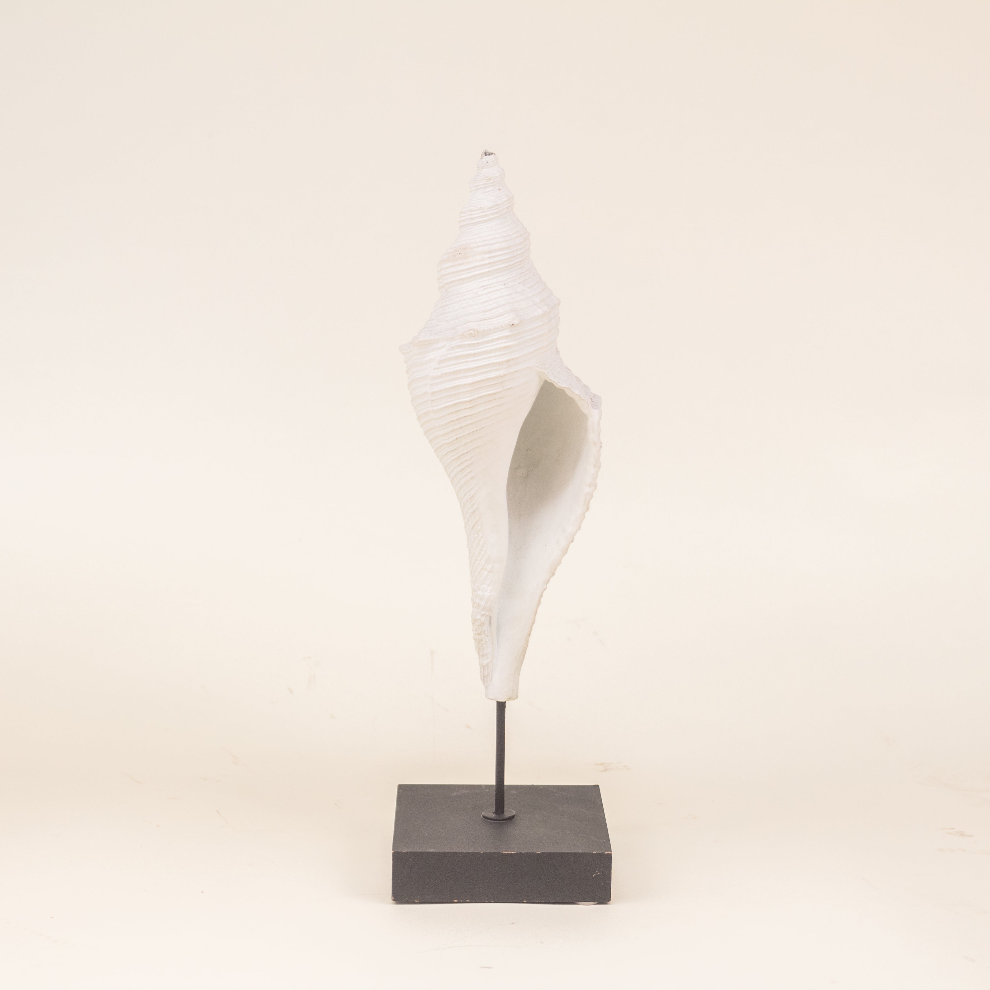 ESCULTURA CARACOL