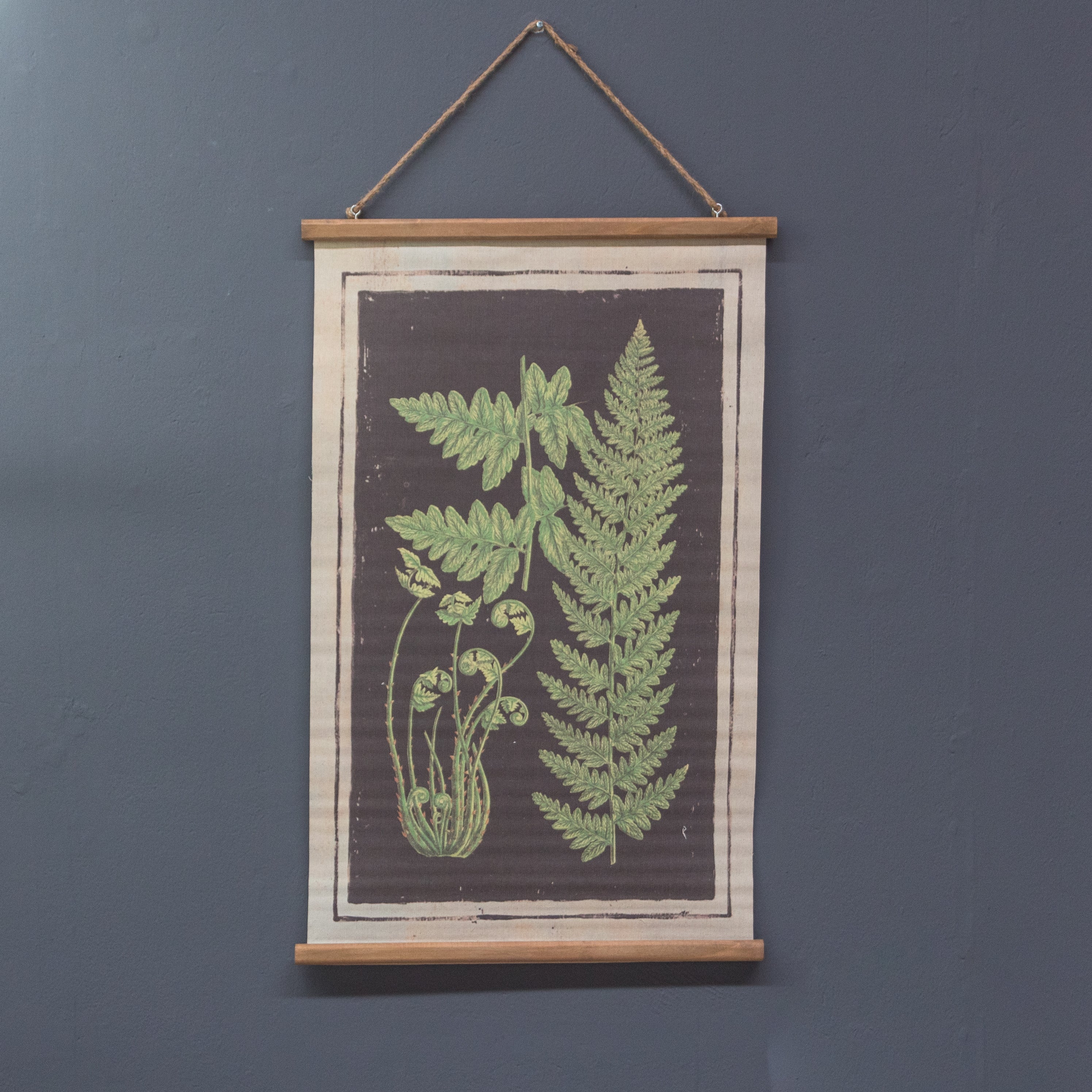 OBRA ILUSTRACION BOTANICA