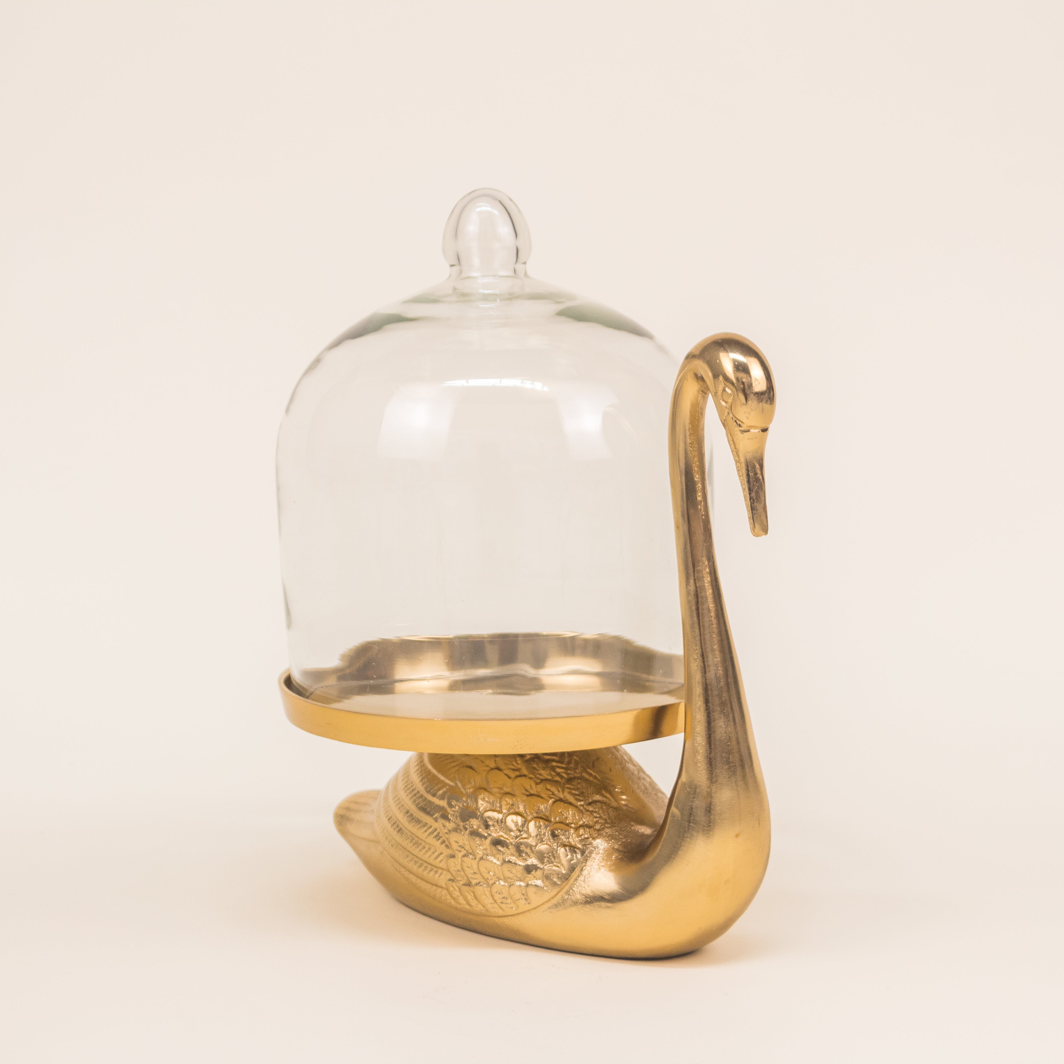 PANERA CISNE