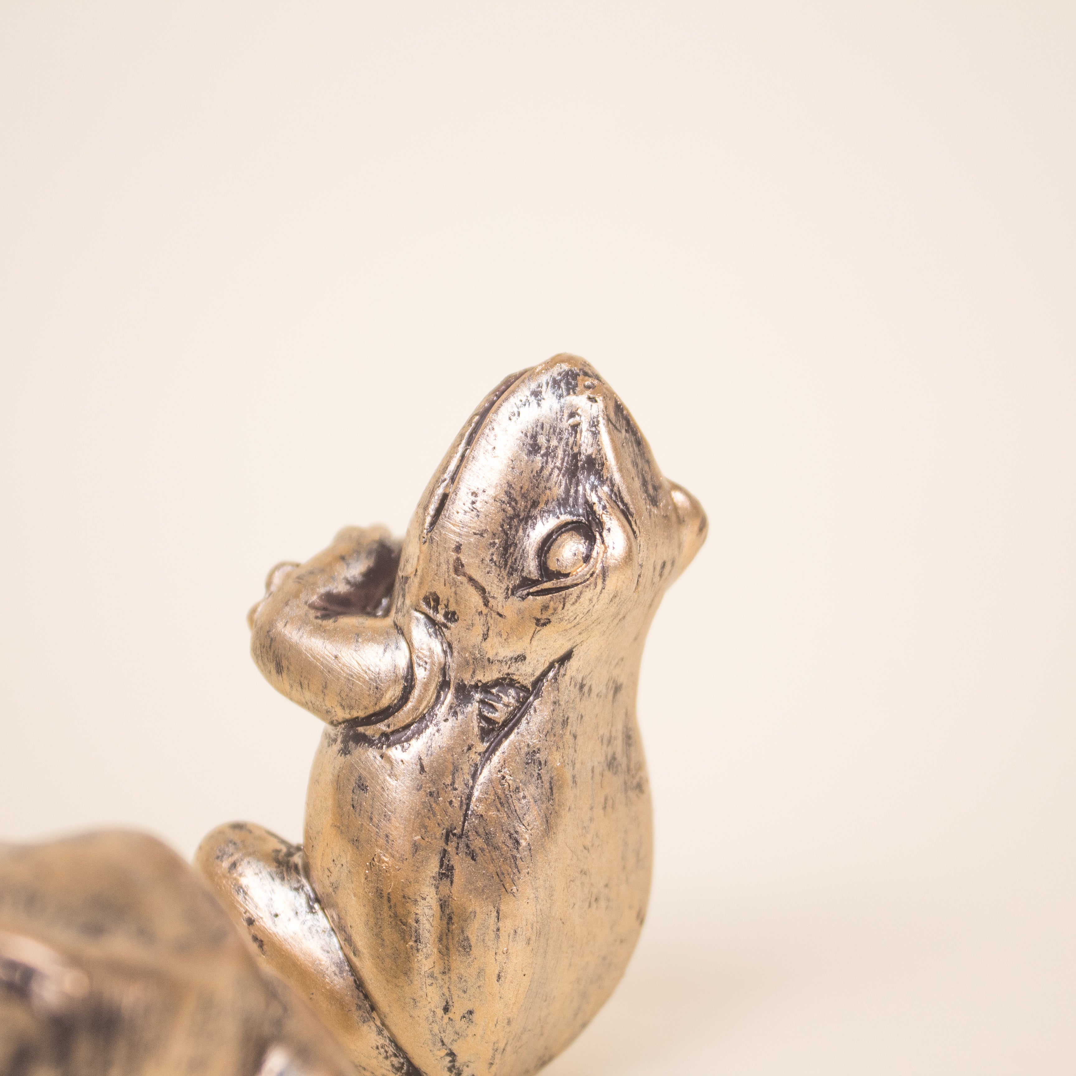 Set Ranas