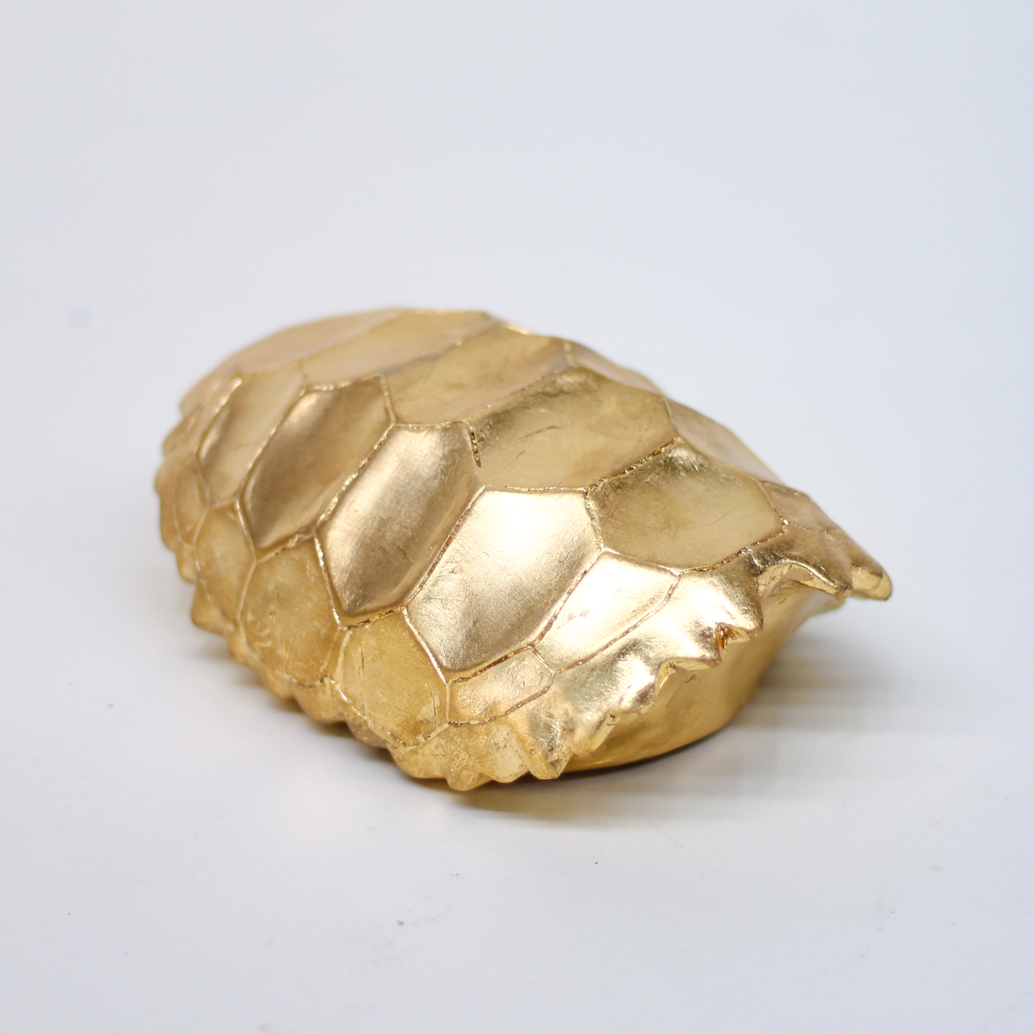 Caparazón Dorado