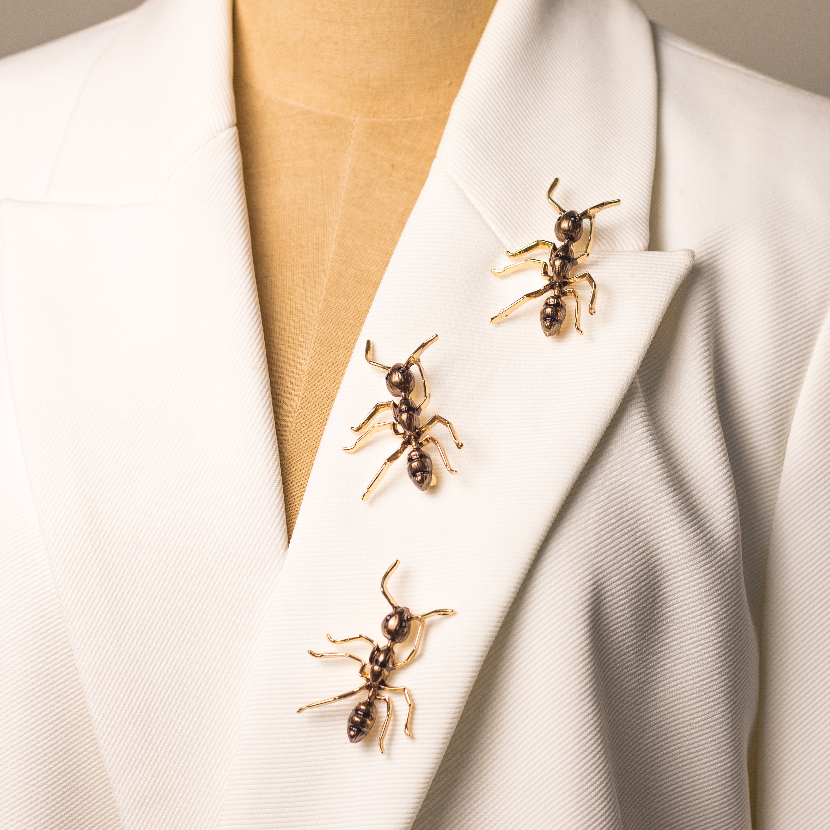 Broche Hormiga Marrón