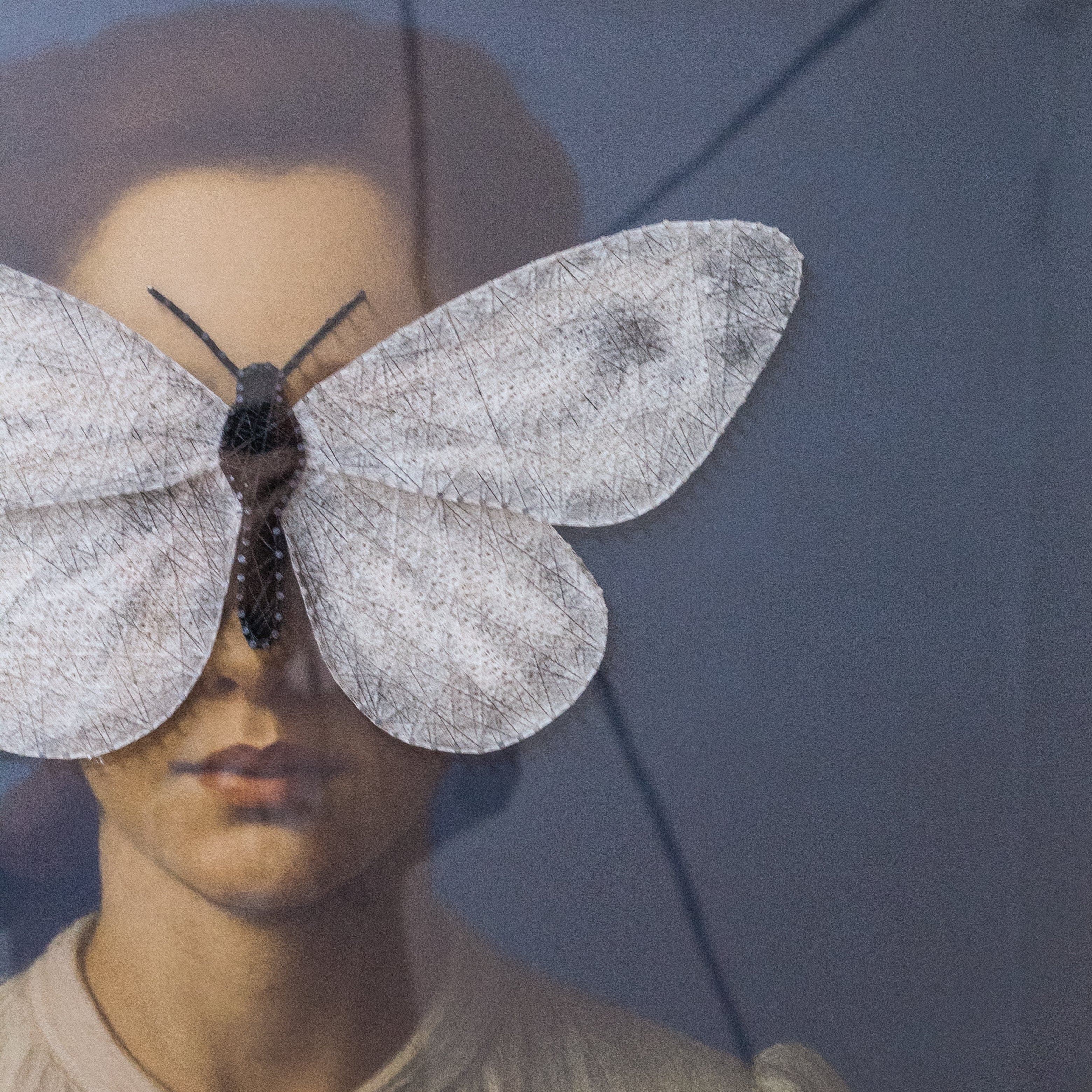OBRA EFECTO MARIPOSA