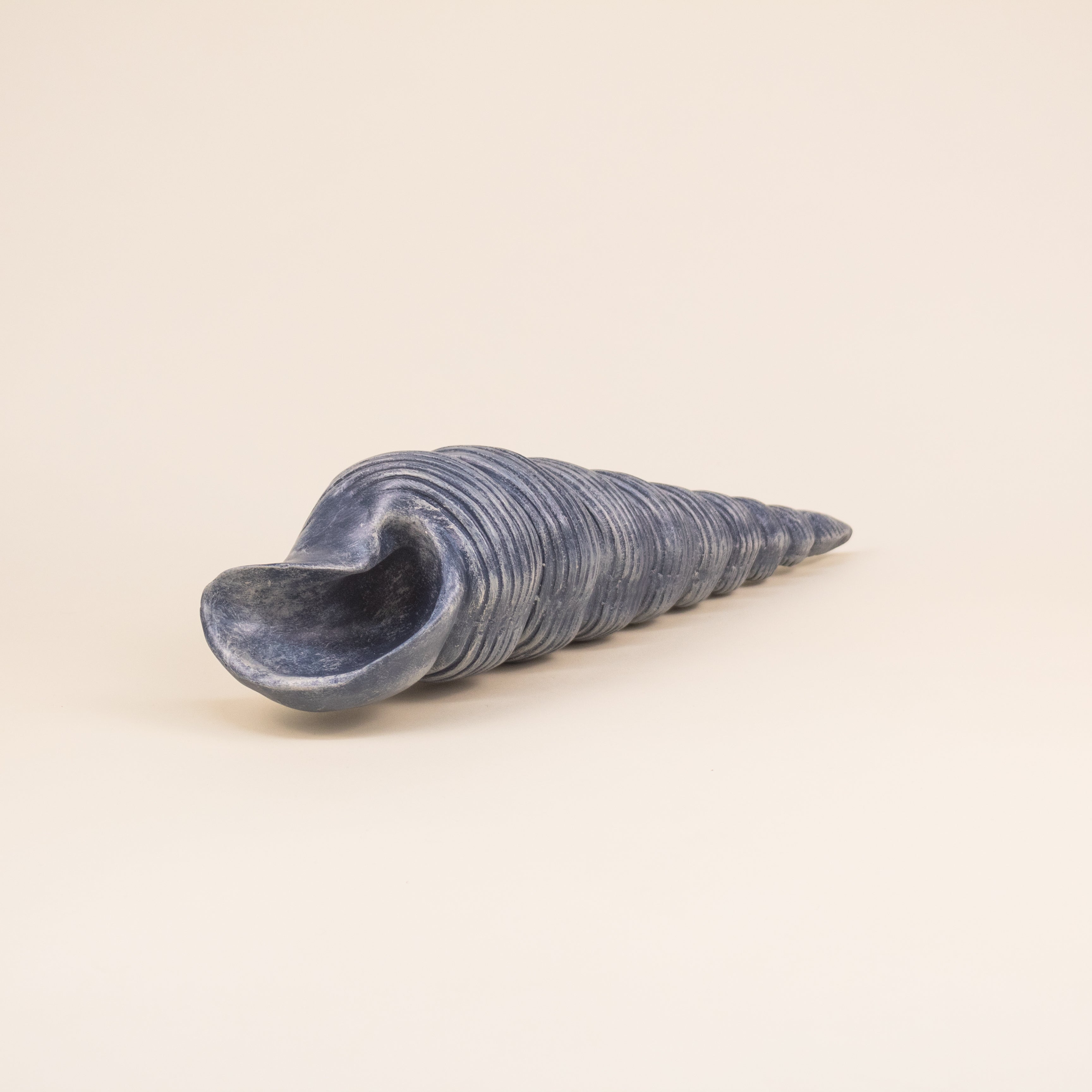 CARACOL AZUL