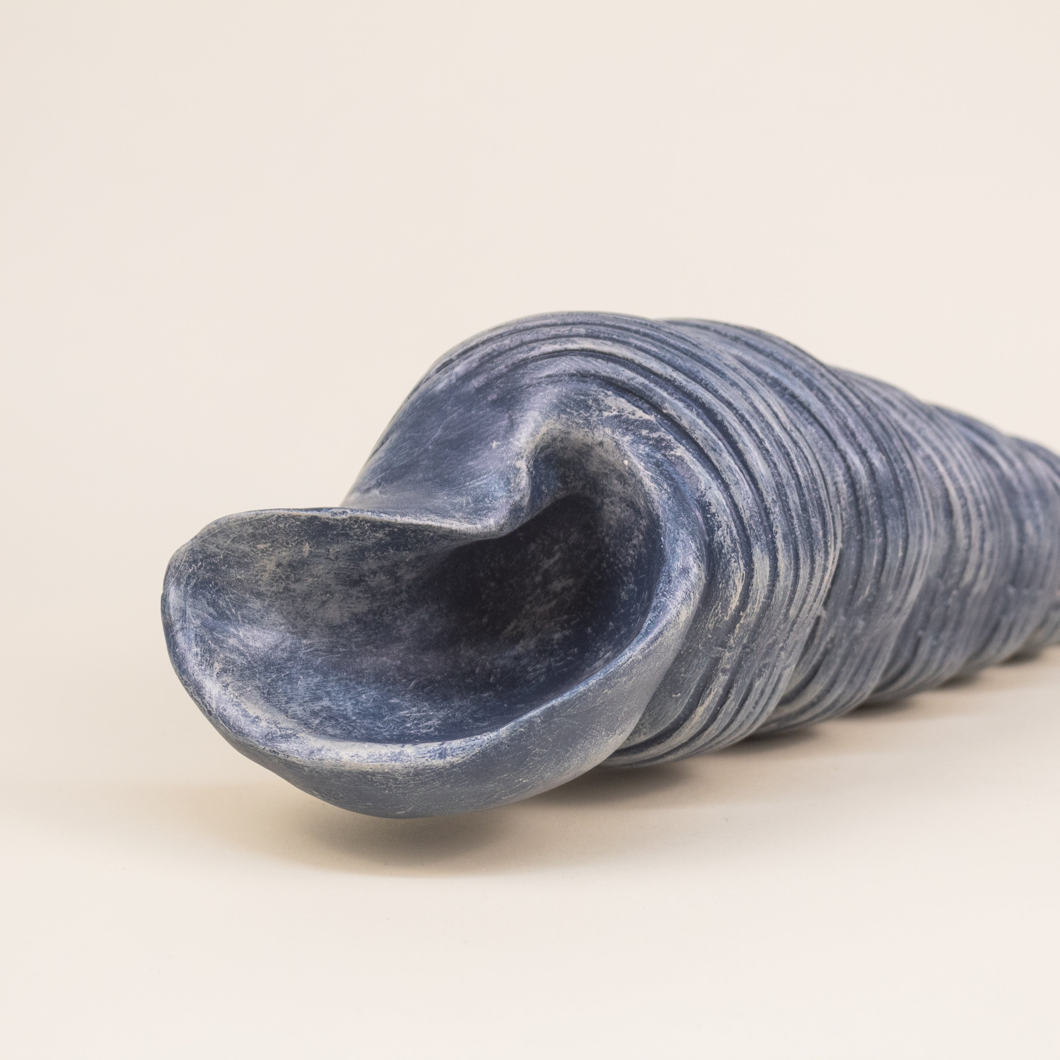 CARACOL AZUL