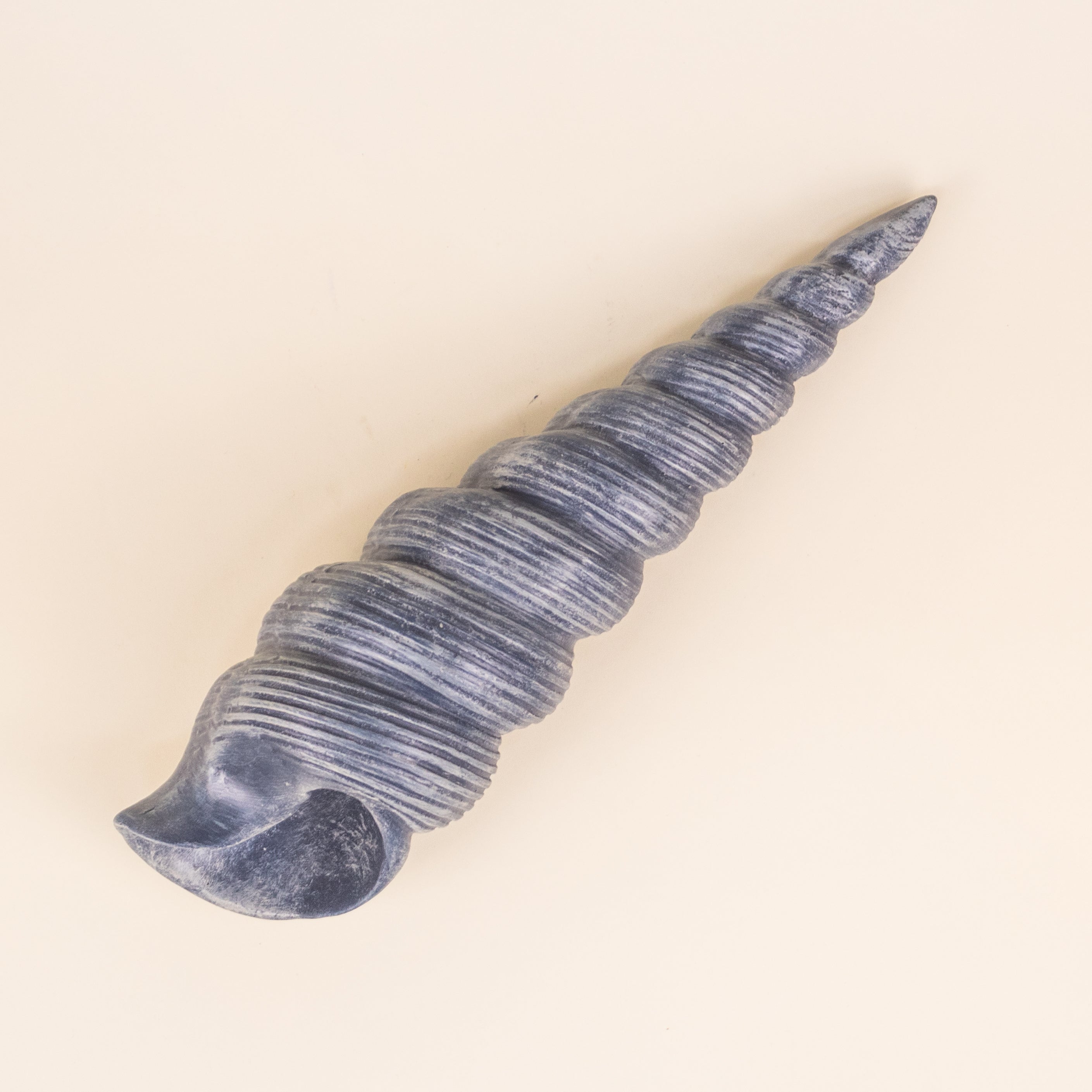 CARACOL AZUL