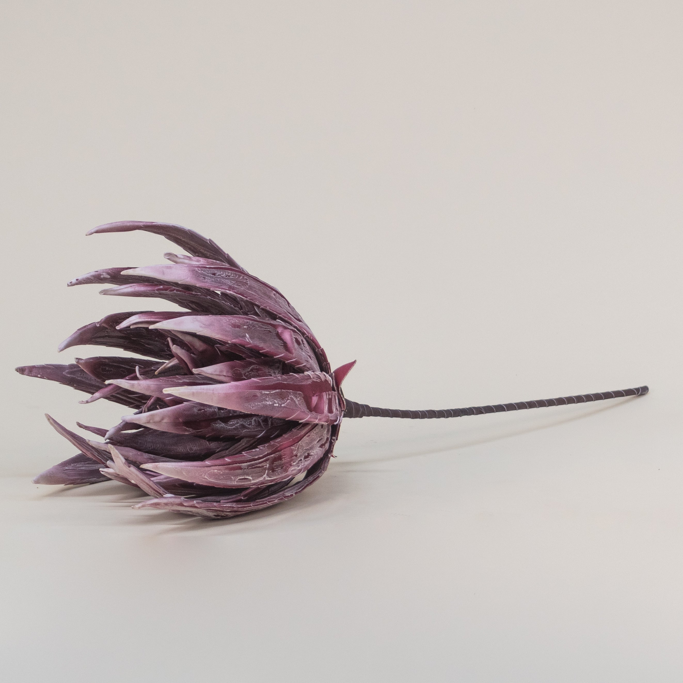 FLOR AGAVE
