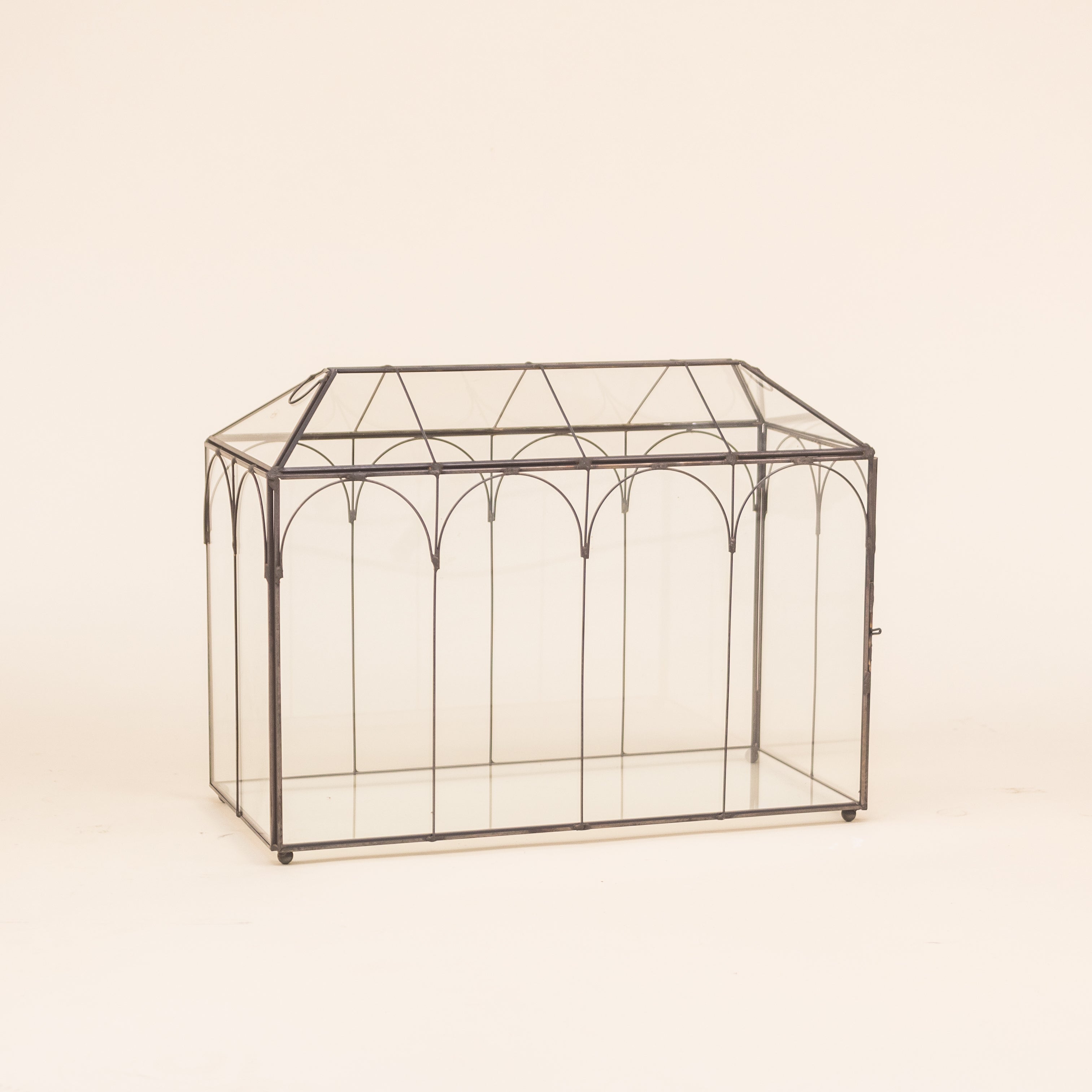 CAJA VINCE