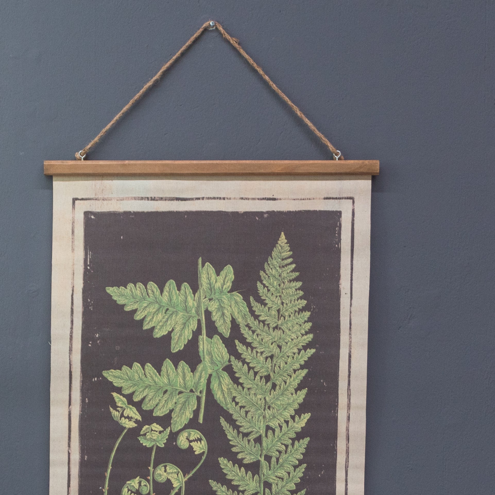 OBRA ILUSTRACION BOTANICA