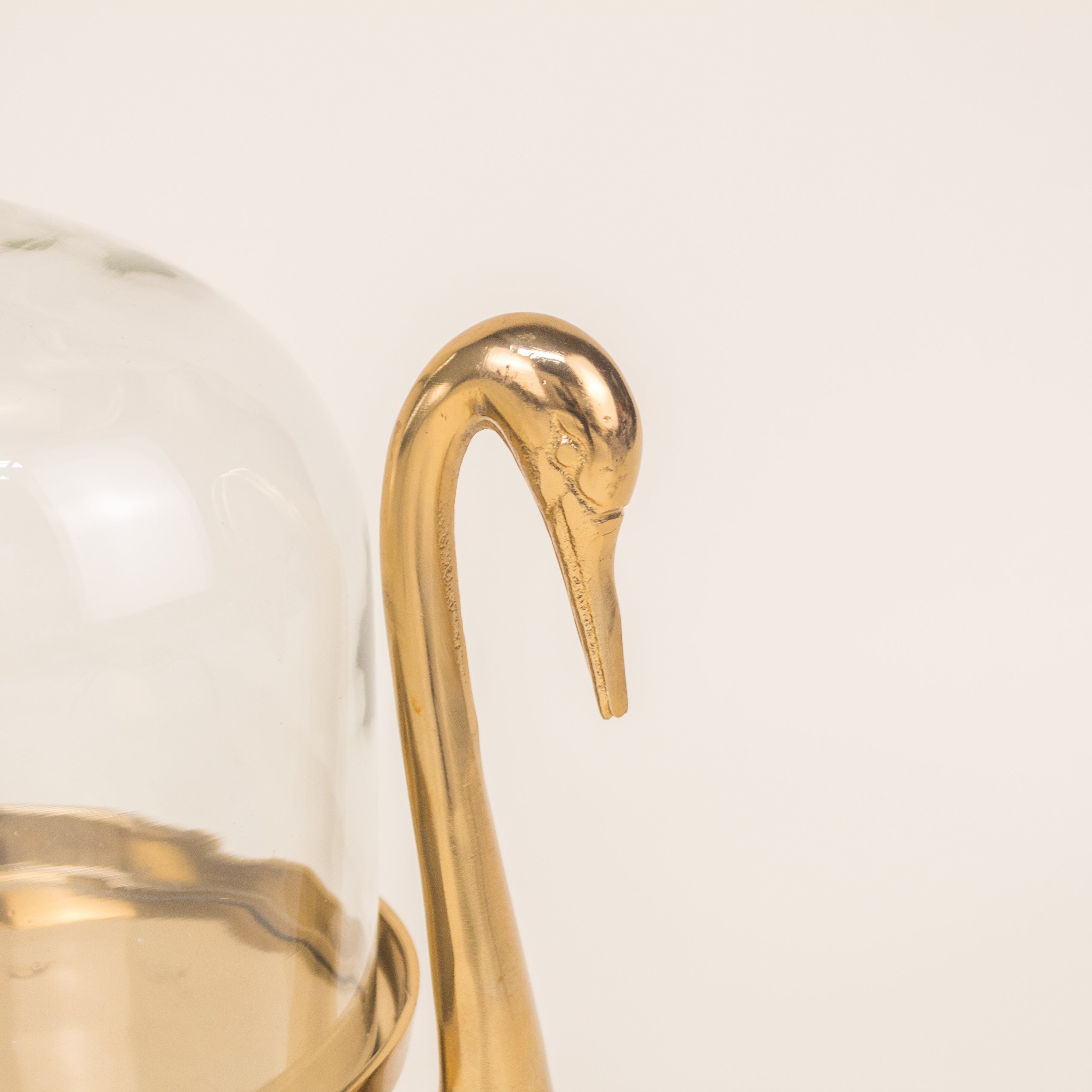 PANERA CISNE
