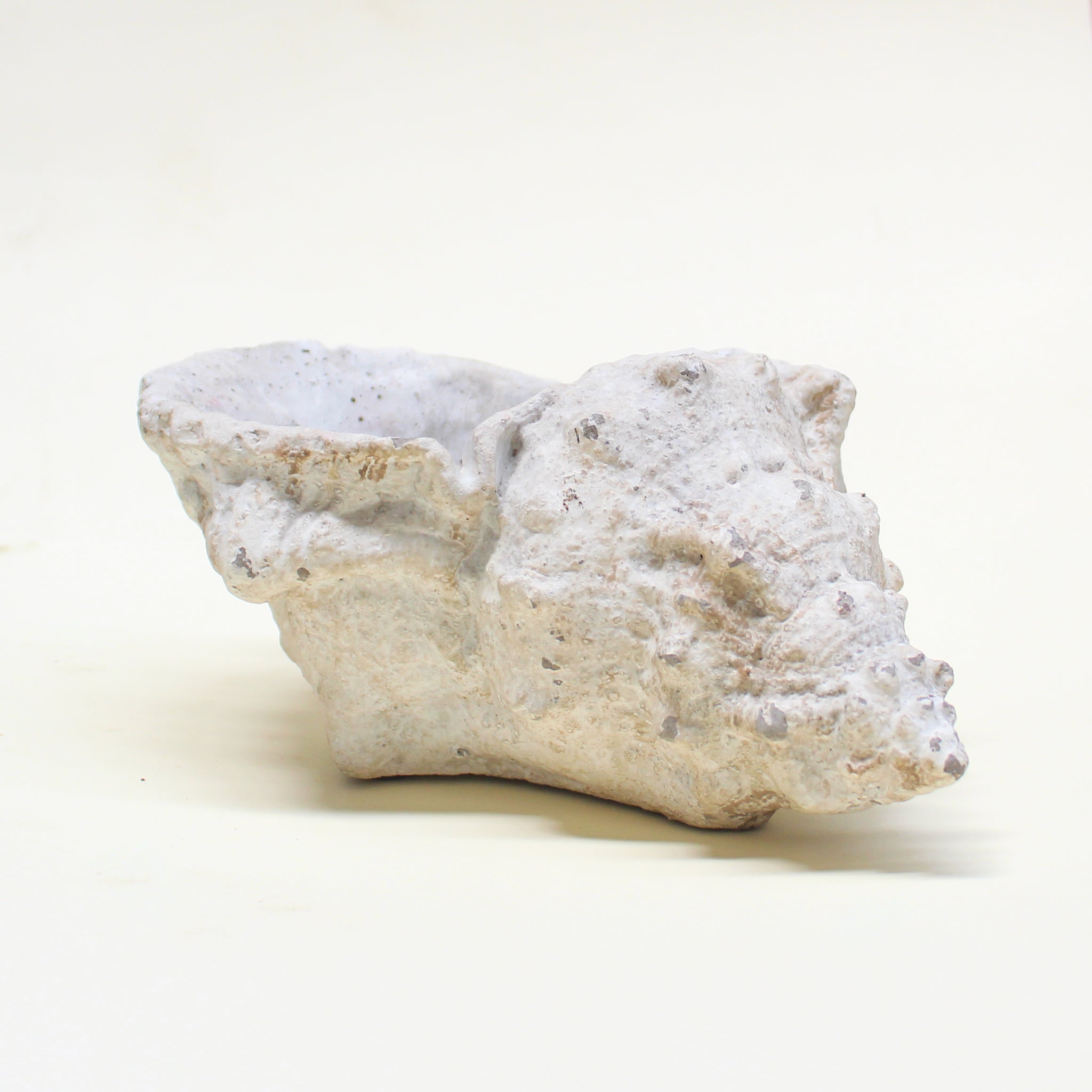 Escultura Caracola