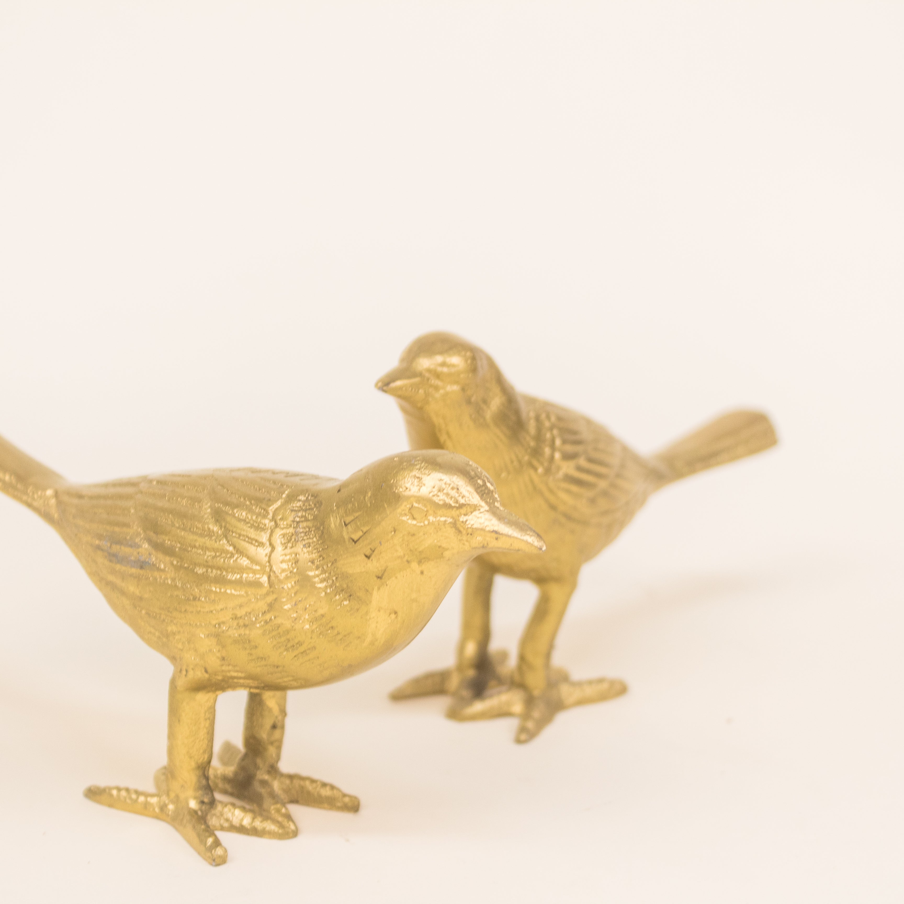 SET PAJARITOS DORADOS