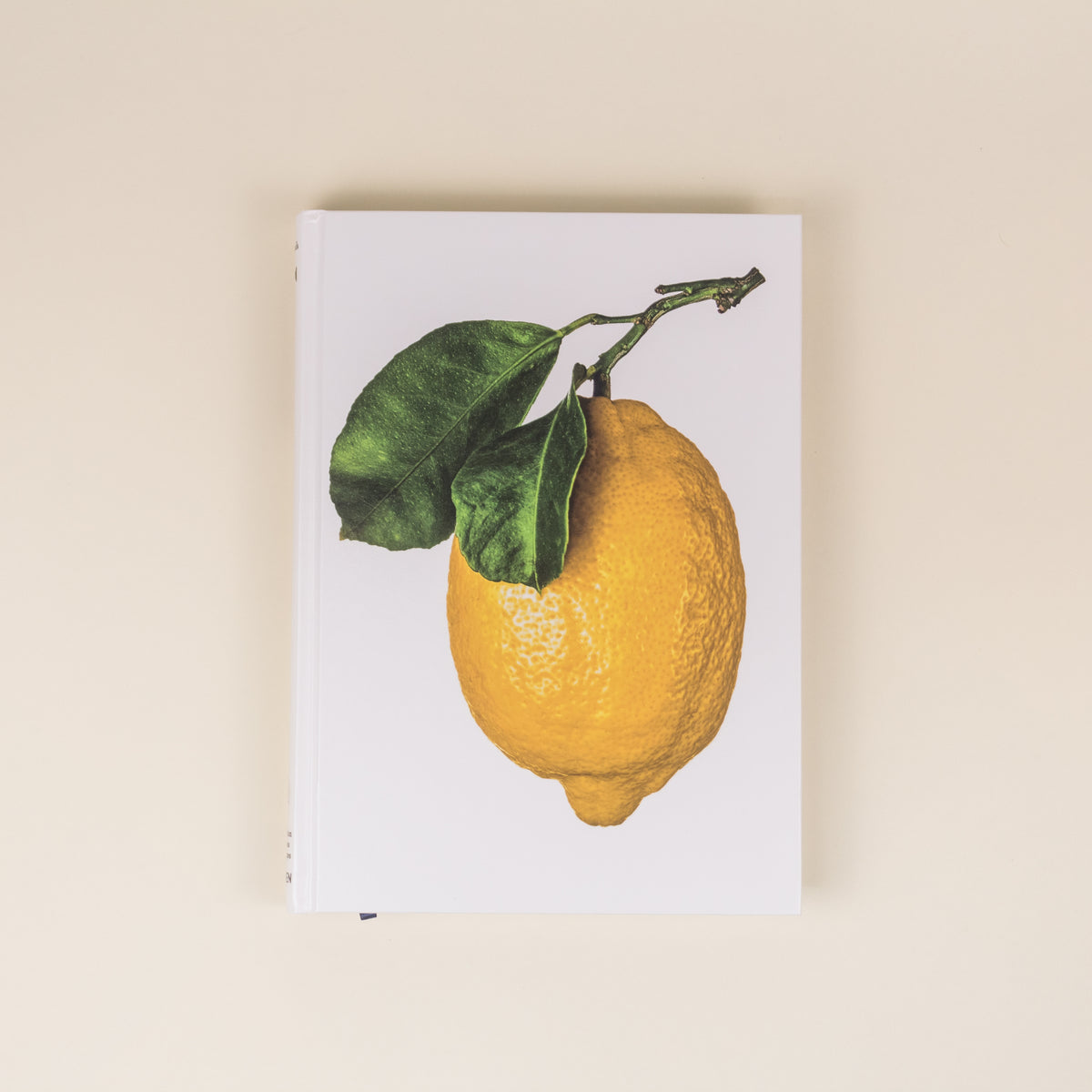 LIBRO LEMON