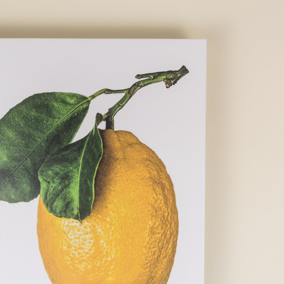 LIBRO LEMON