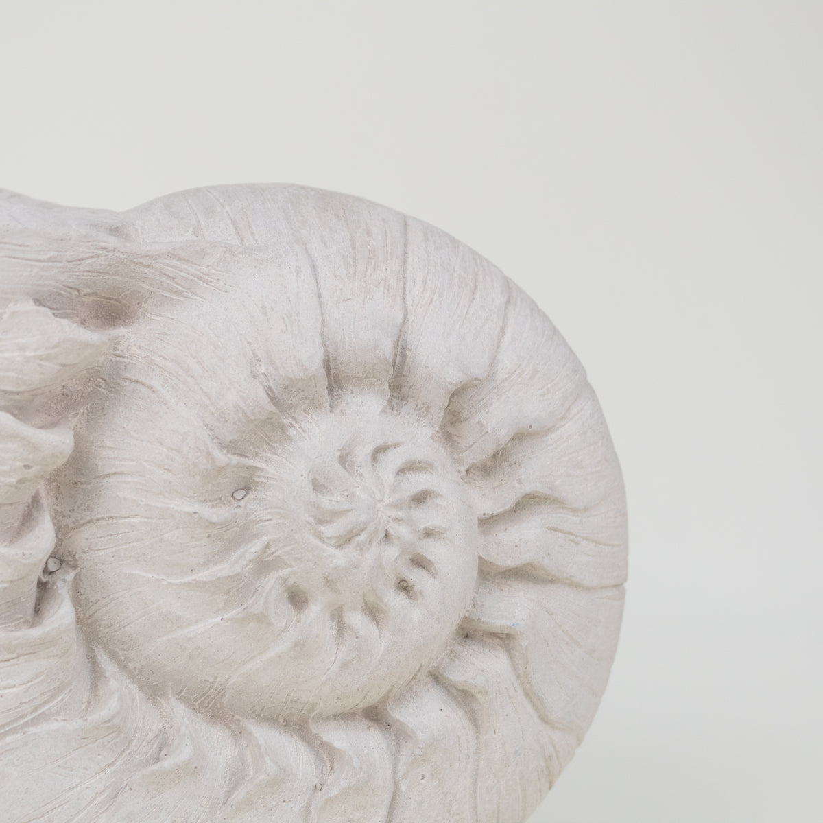 ESCULTURA CARACOLA