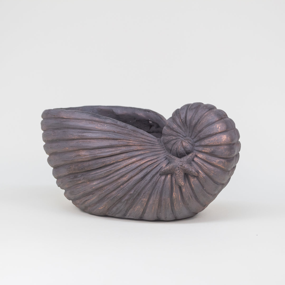 ESCULTURA CARACOLA OSCURA