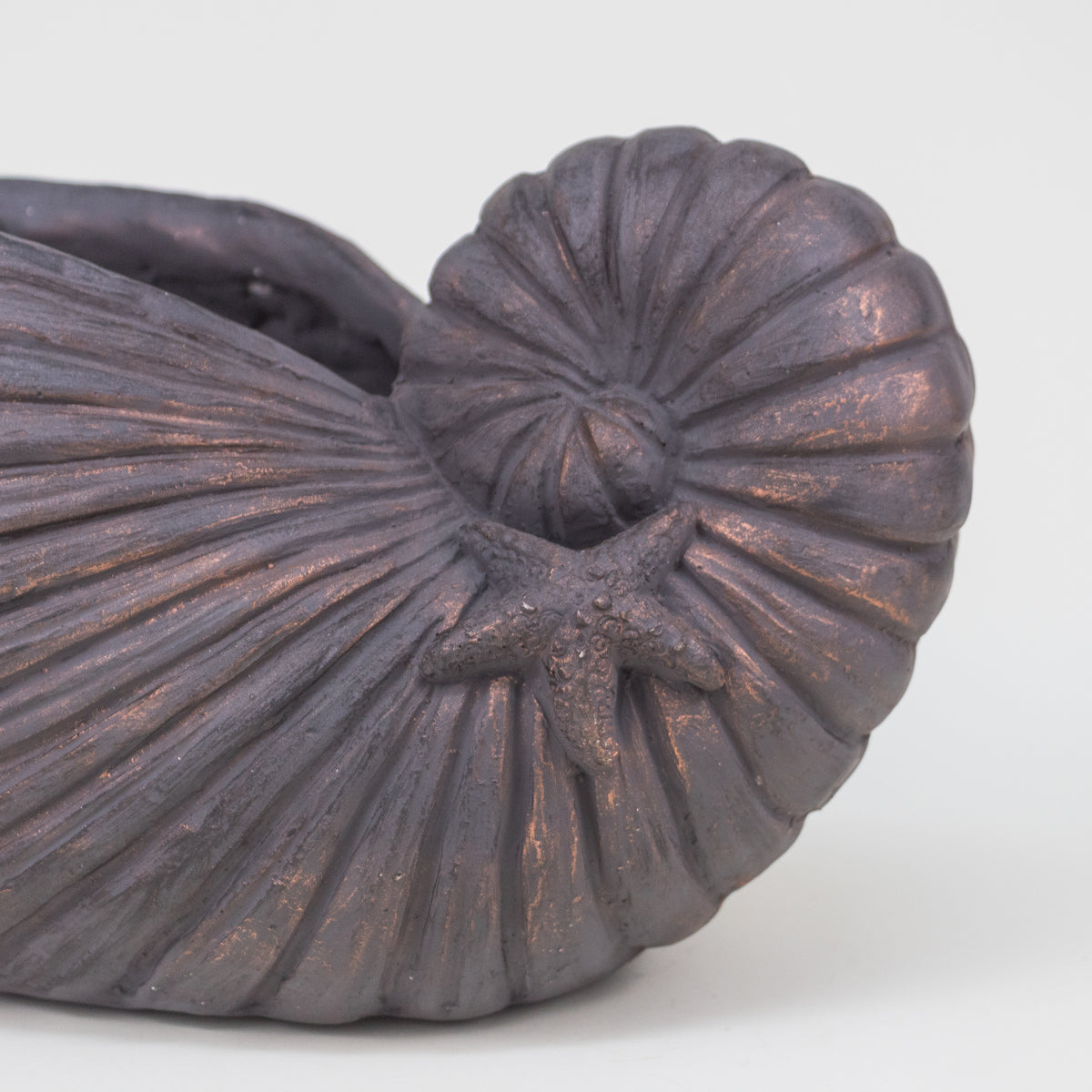 ESCULTURA CARACOLA OSCURA
