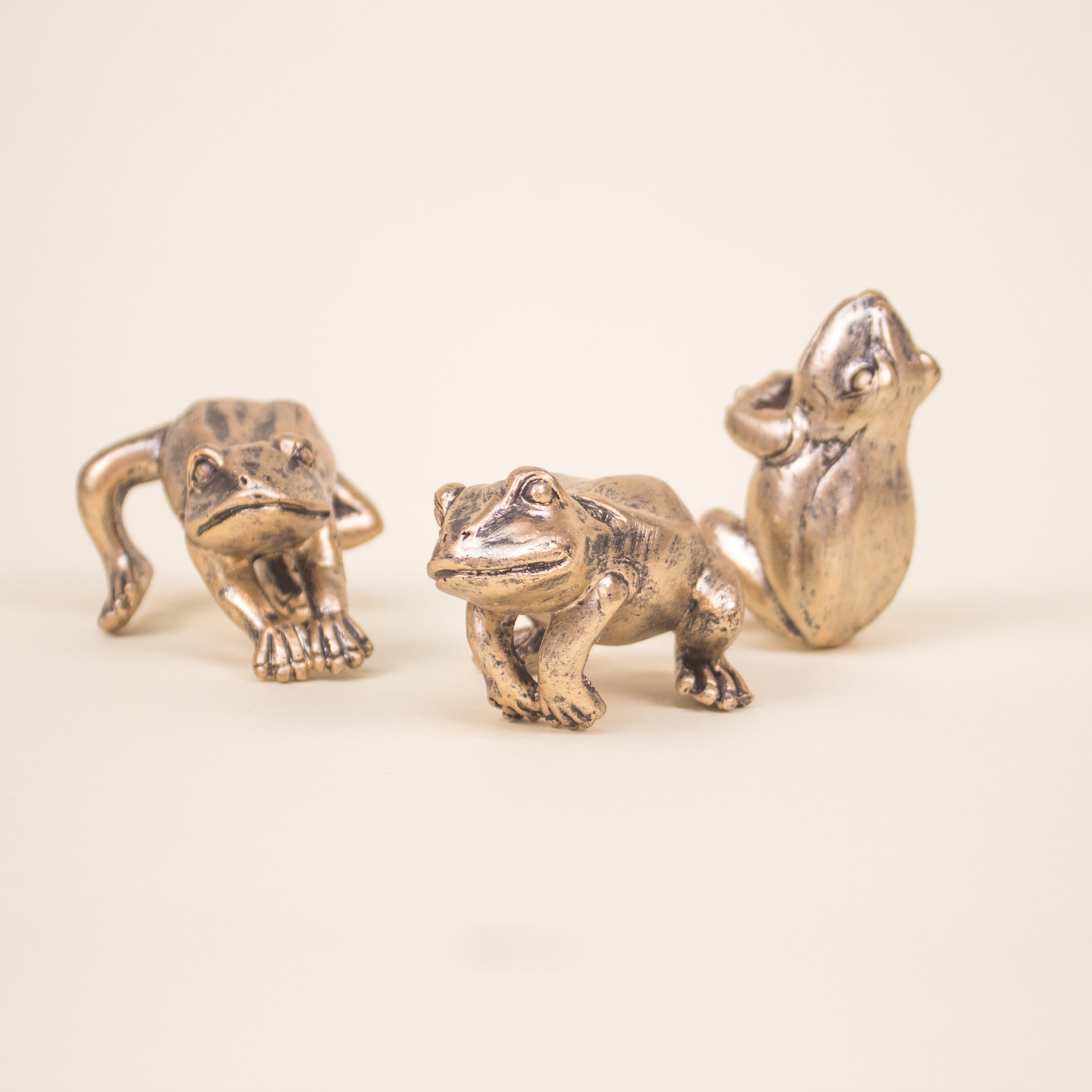 Set Ranas