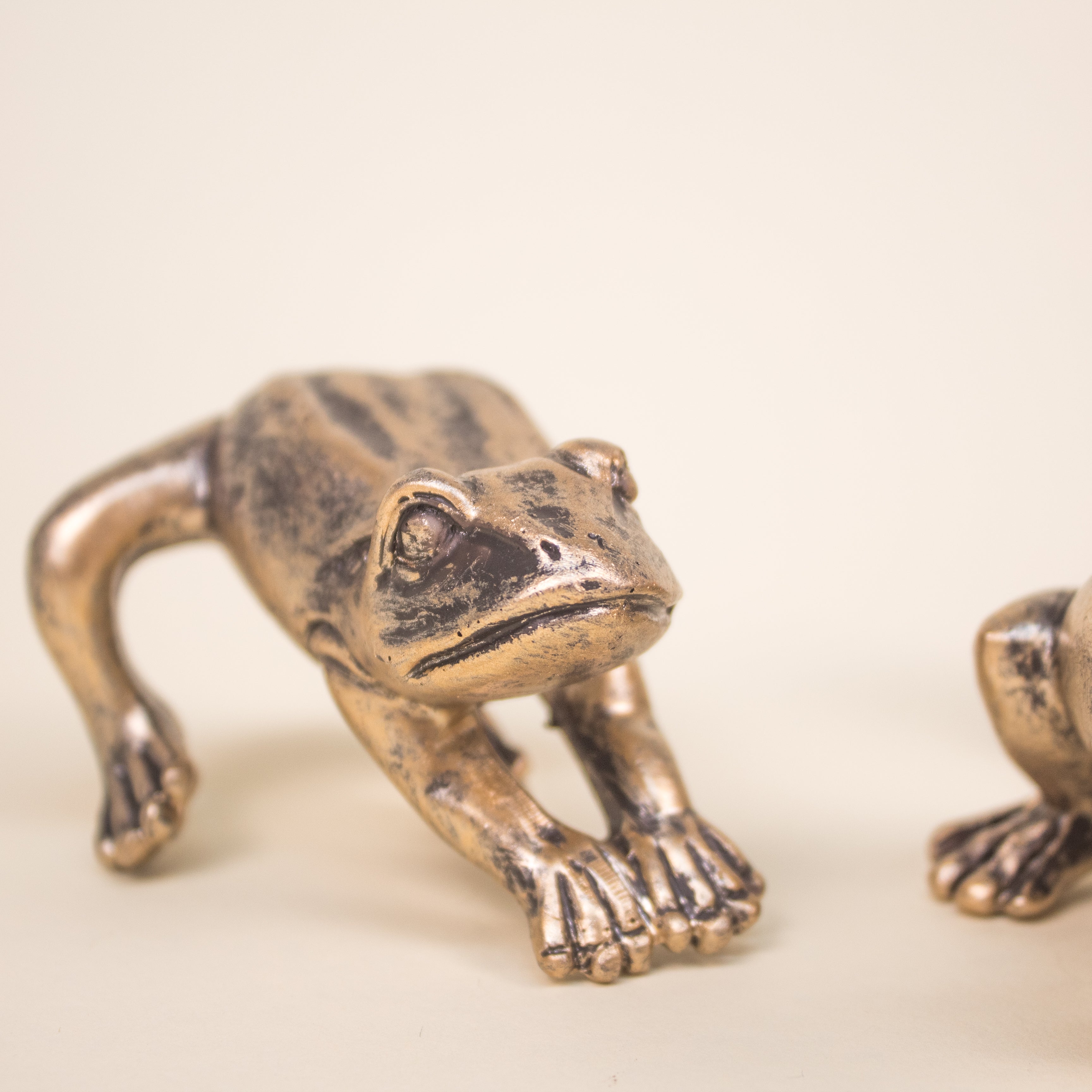 Set Ranas
