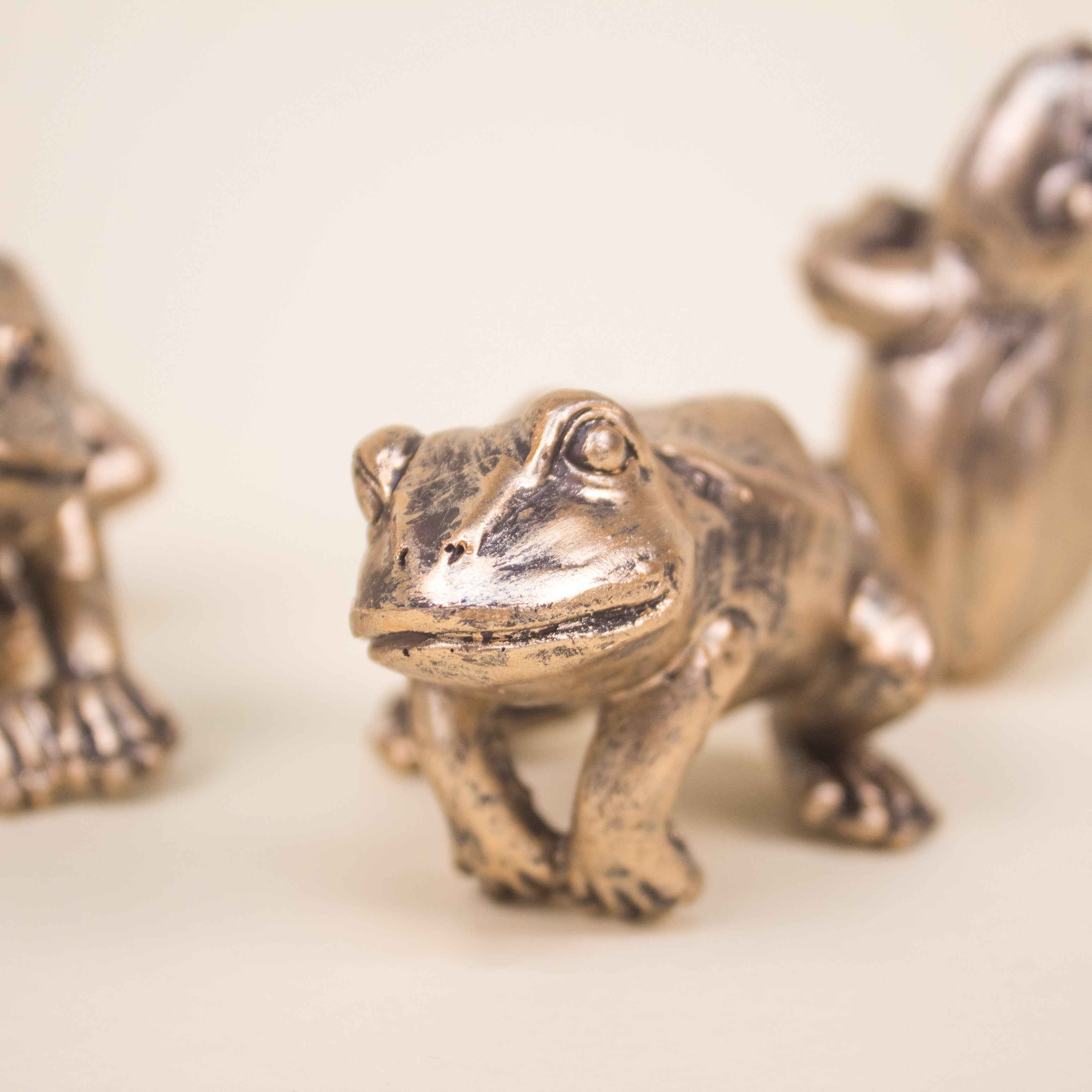 Set Ranas